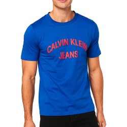 Calvin Klein T-Shirt Uomo Ragazzo Mezza Manica Corta Girocollo Maglia Cotone