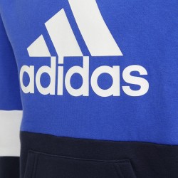 Adidas Felpa Cappuccio Bimbo Ragazzo Sportiva Cotone Ginnastica Palestra Running