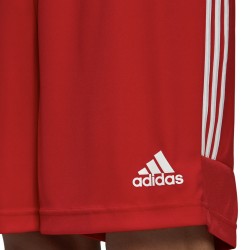 Adidas Shorts Uomo Ragazzo Sportivo Pantaloncino Bermuda Ginnastica Estate Running Corsa