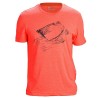 Lotto T-Shirt Maglia Girocollo Uomo Ragazzo Mezza Manica Corta Sportive Tennis Cotone